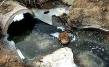  cod能反映水質污染情況嗎？