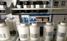  什么是氨氮總磷總氮？