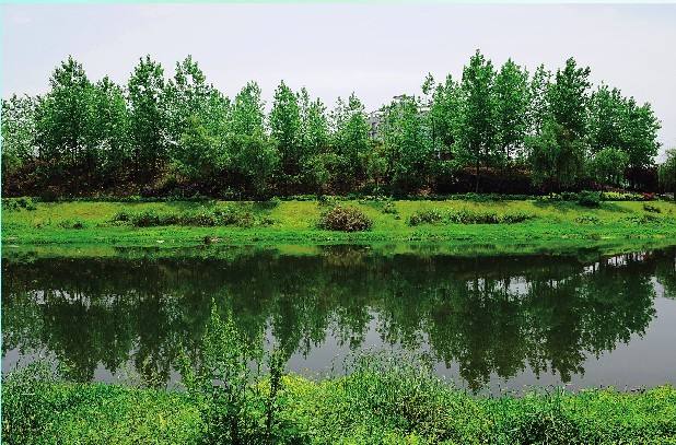  小微型水質監(jiān)測站如何選用水質自動采樣器？