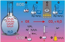  BOD和COD有什么區(qū)別？