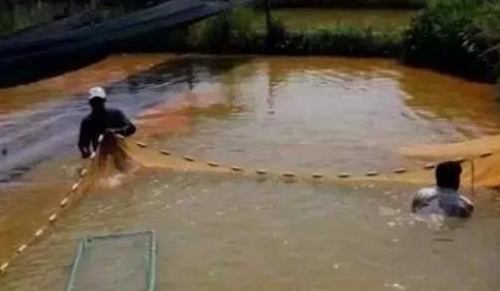 水渾了？不用怕，這五個(gè)方面讓水質(zhì)恢復(fù)清新